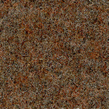 Pugirg Fenice 1243.jpg